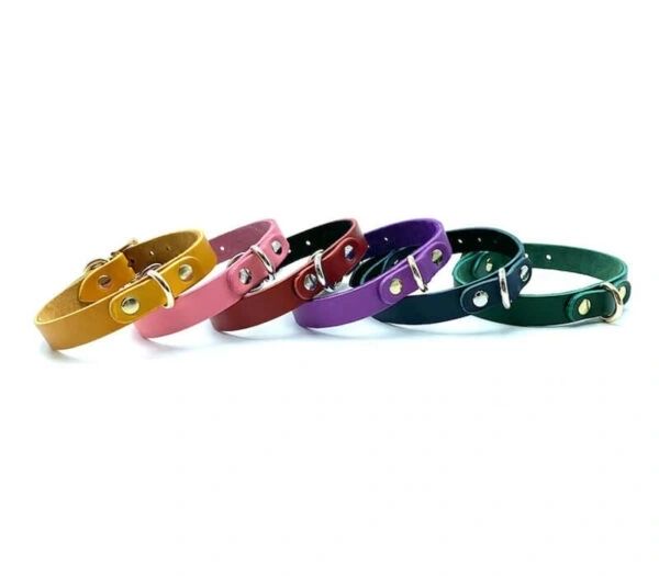 0.75" Mini Collar "Mona" Series